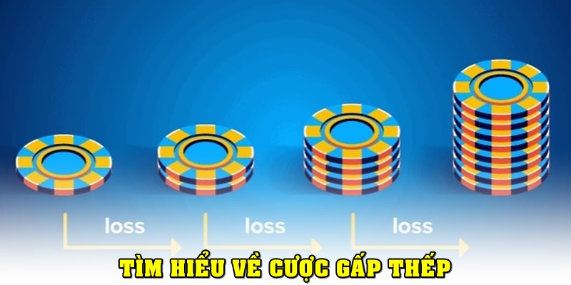 Bí kíp để áp dụng cược gấp thếp hiệu quả