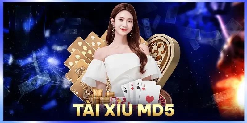 Tài xỉu MD5 – Game Cá Cược Hấp Dẫn Dành Cho Người Việt